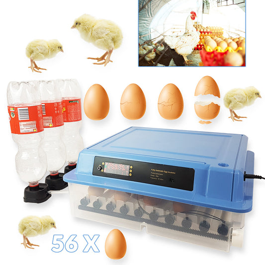 Inkubator za 56 jaja sa kontrolom vlage i temperature - Mediteran Shop
