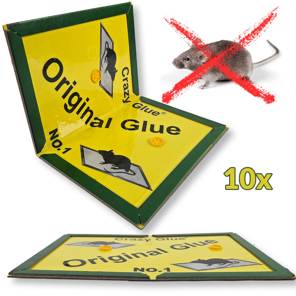 Selected Variant Image