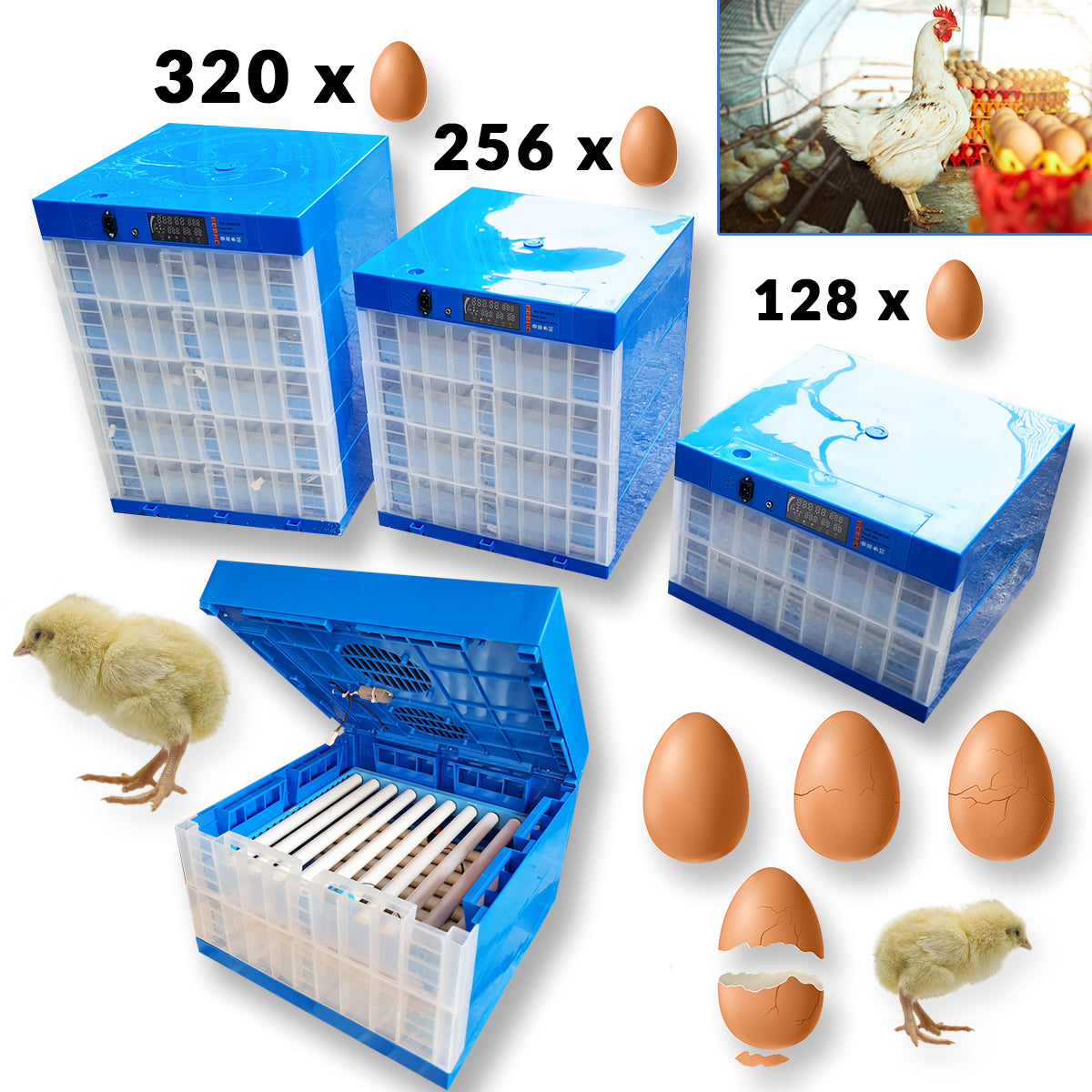 XXL Inkubatori za jaja - 3 modela - Mediteran Shop